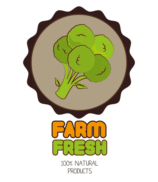 Farm design gráfico fresco — Vetor de Stock