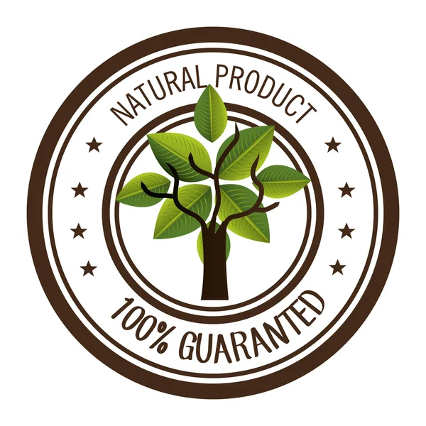 Přírodní a bio produktů — Stockový vektor
