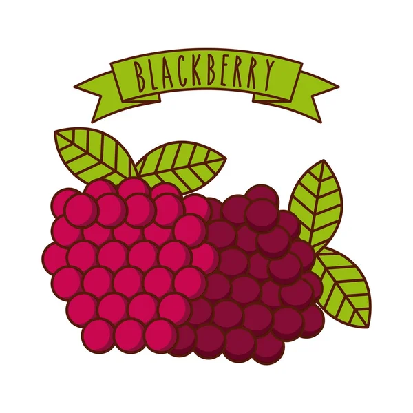Diseño de frutas tropicales — Archivo Imágenes Vectoriales