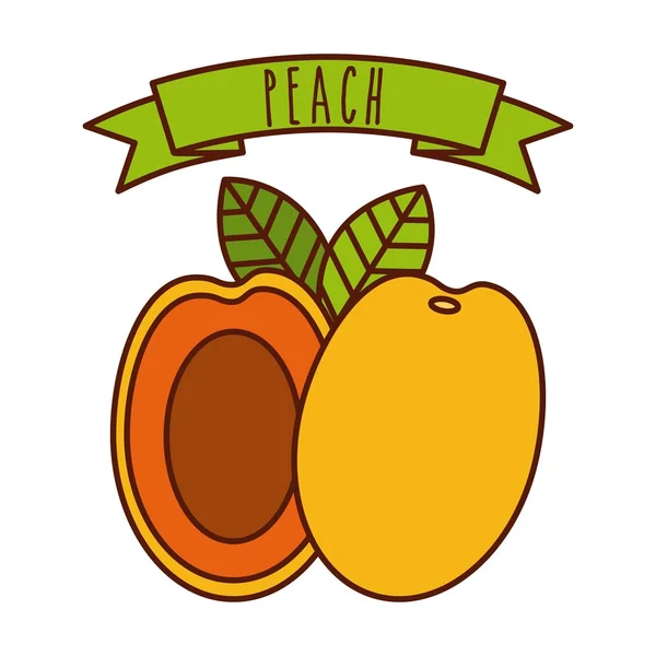 Desenho de frutas tropicais — Vetor de Stock