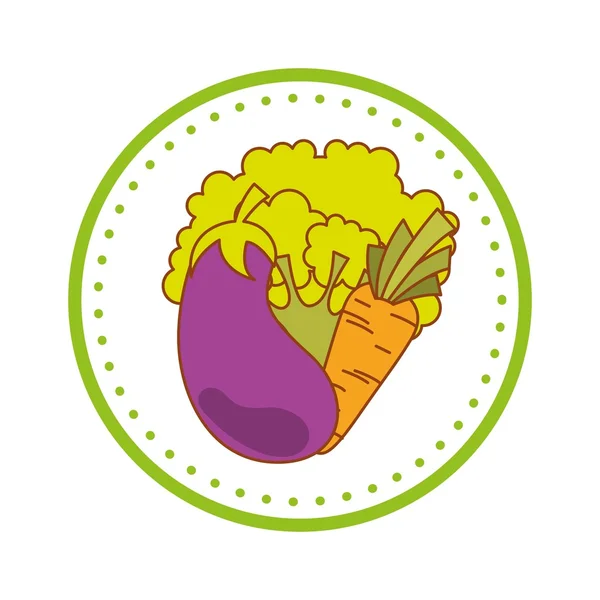 健康と有機食品設計 — ストックベクタ