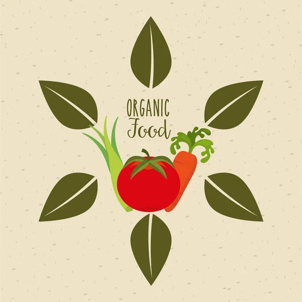 Salute e design degli alimenti biologici — Vettoriale Stock