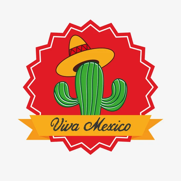 Viva mexico design — Stock Vector