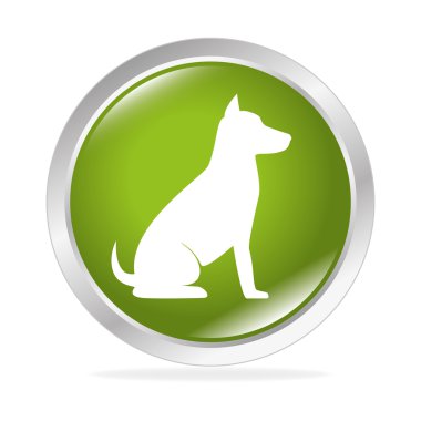 Evde beslenen hayvan ve hayvan dükkanı