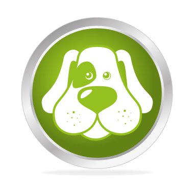 Evde beslenen hayvan ve hayvan dükkanı