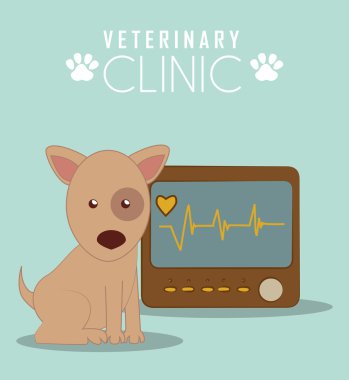 Evde beslenen hayvan ve hayvan dükkanı