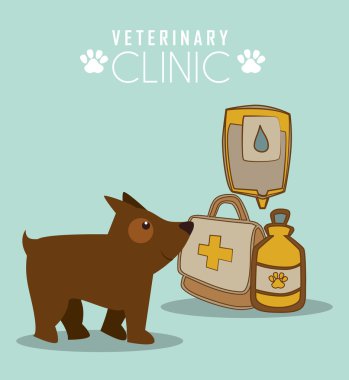 Evde beslenen hayvan ve hayvan dükkanı