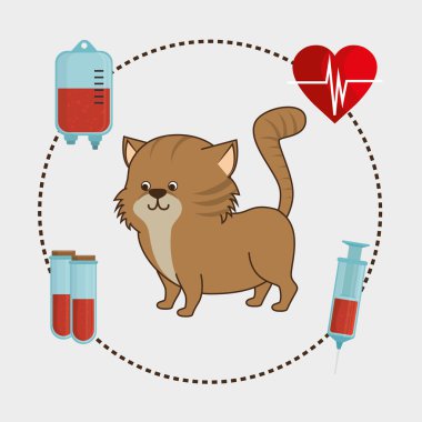 Evde beslenen hayvan ve hayvan dükkanı
