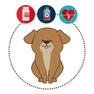 Evde beslenen hayvan ve hayvan dükkanı