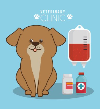 Evde beslenen hayvan ve hayvan dükkanı