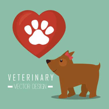 Evde beslenen hayvan ve hayvan dükkanı