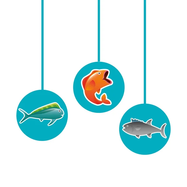 Diseño del concepto de pescado — Archivo Imágenes Vectoriales