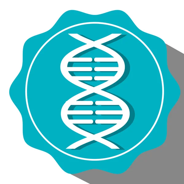 DNA structure icon — Stock Vector