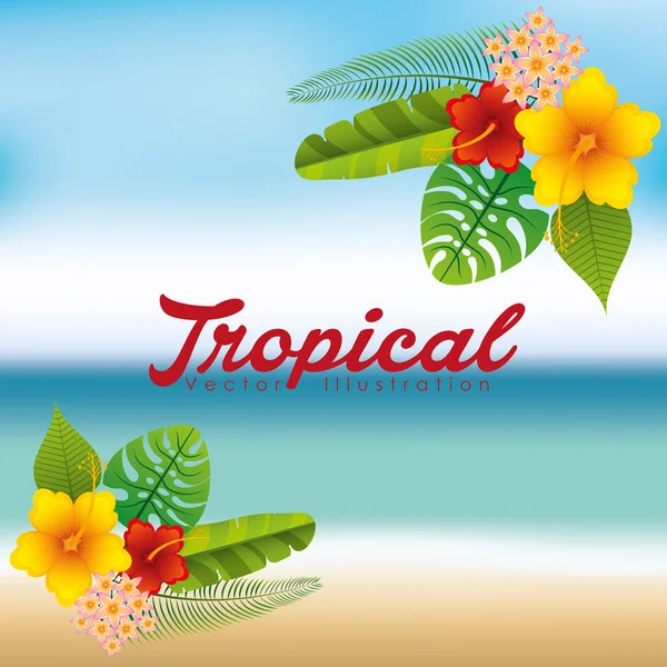 Tropical paradise design — Stock Vector