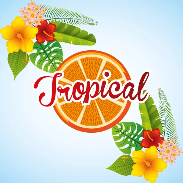 Diseño paraíso tropical — Archivo Imágenes Vectoriales
