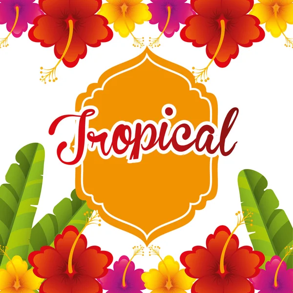 Design paradiso tropicale — Vettoriale Stock