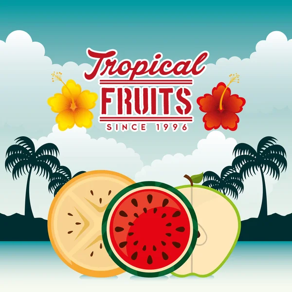 Diseño paraíso tropical — Vector de stock