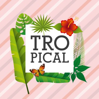 Tropikal gövde tasarımı