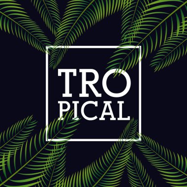 Tropikal gövde tasarımı