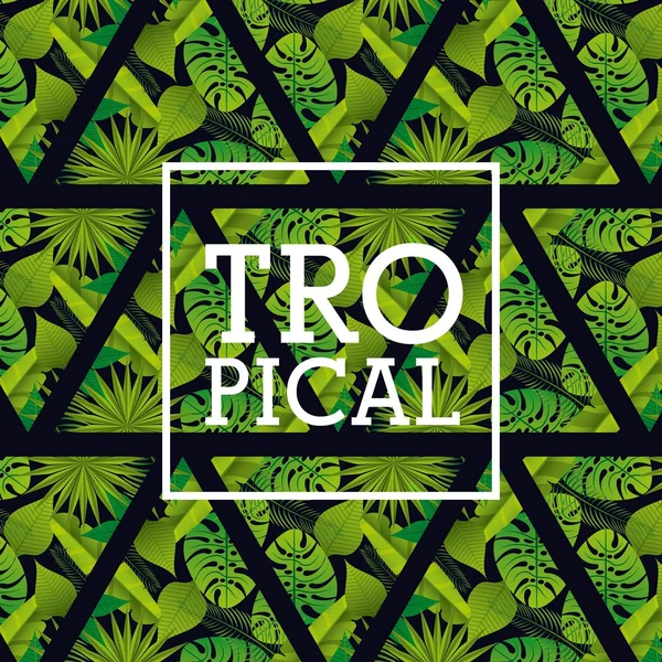 Design de quadro tropical —  Vetores de Stock