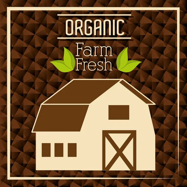 Producto ecológico fresco de granja — Vector de stock