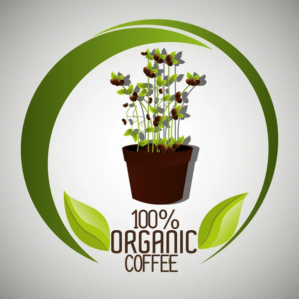 Delicioso café natural y orgánico — Vector de stock