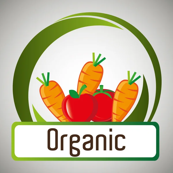 Graphique sur les aliments biologiques — Image vectorielle