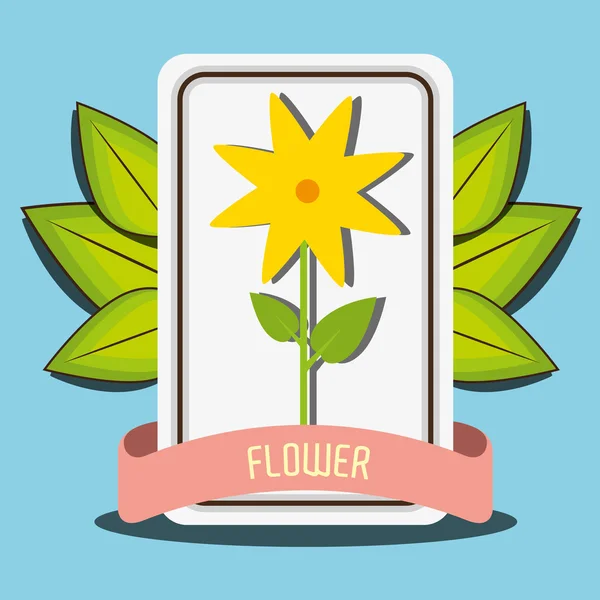 Flowers graphic design — Stock Vector