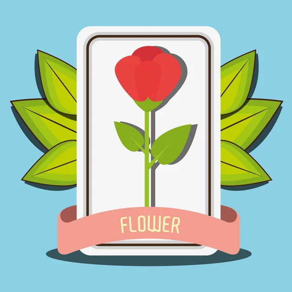 Flowers graphic design — Stock Vector