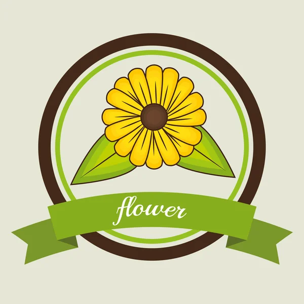 Flowers graphic design — Stock Vector