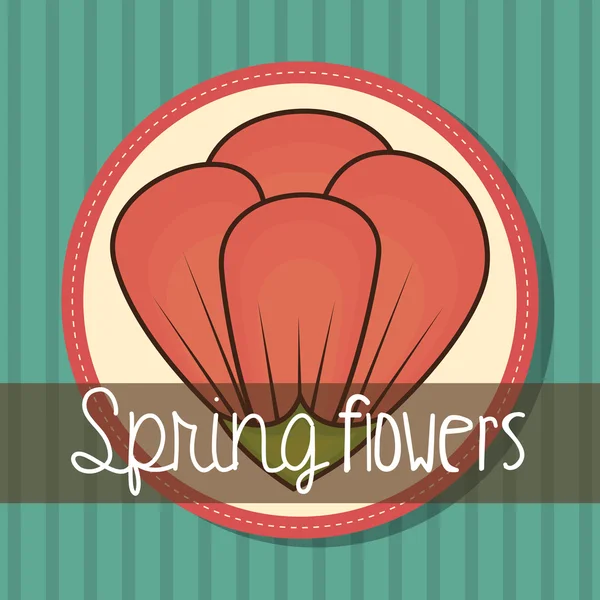 Tavaszi virágok design — Stock Vector