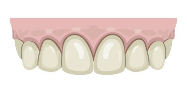 Beyaz diş üst satır