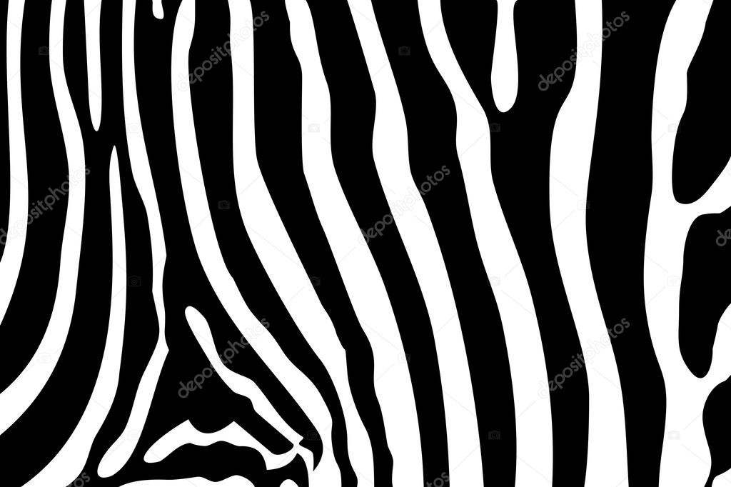 Zebra texture