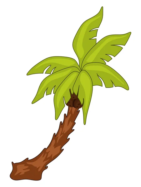 Palm tree — Stock Vector