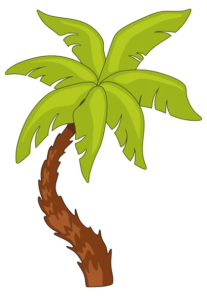 Palmeira — Vetor de Stock