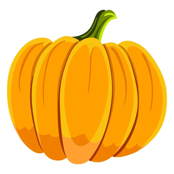 Pumpkin — Stock Vector