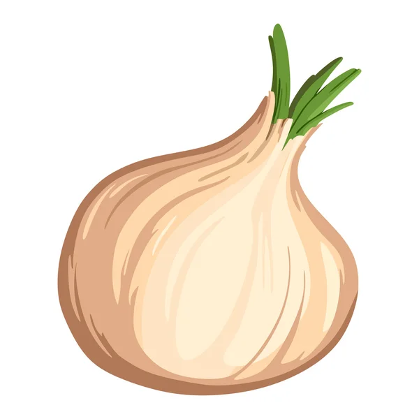 Onion — Stock Vector