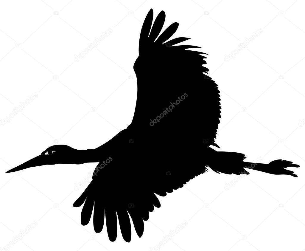 Storchensilhouette - Vektorgrafik: lizenzfreie Grafiken © Chubarov