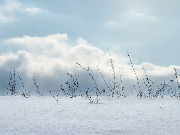 Minimalistický Snow krajina — Stock fotografie