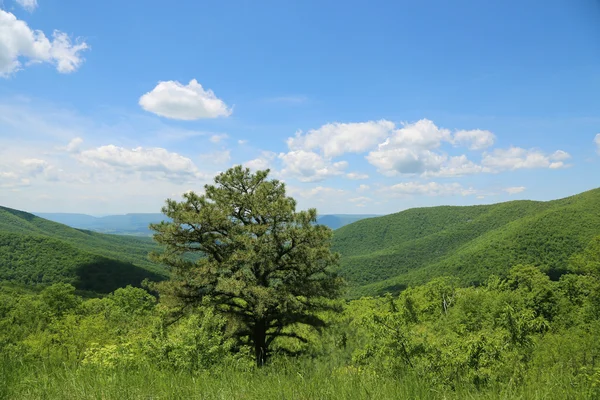 Virgínia Ocidental bonita — Fotografia de Stock