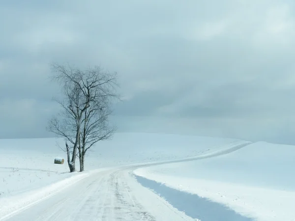 Bela estrada nevado inverno — Fotografia de Stock