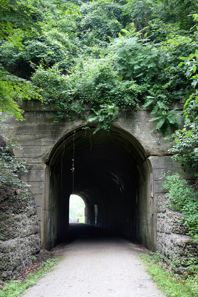 Foliage Covered Tunnel under Old Train Track