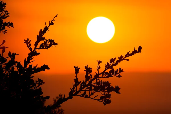 Αφρικανικό ηλιοβασίλεμα — Φωτογραφία Αρχείου