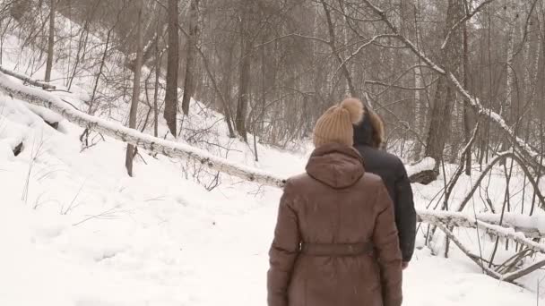 Mann und Frau im Wald — Stockvideo