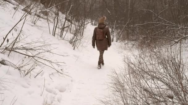 Chica en el bosque — Vídeos de Stock