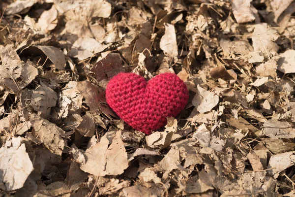 Cuore all'uncinetto in fogliame essiccato — Foto Stock