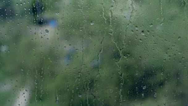 Потоки воды на окне — стоковое видео