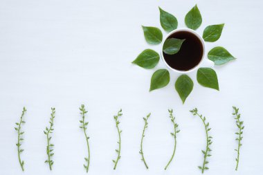 Siyah kahve ve yeşil yaprakları