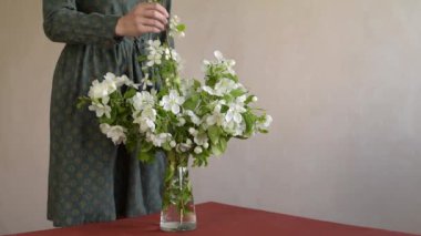 Bir dal vazo koyarak kadın