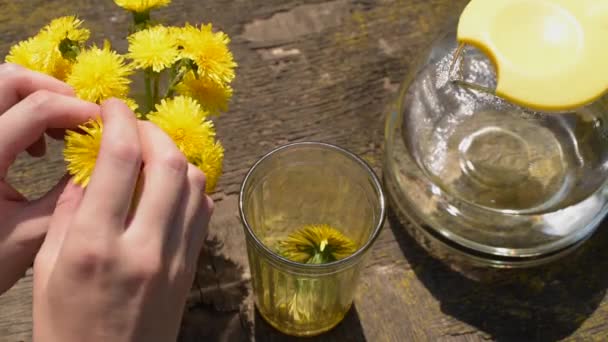 Verhuizen van paardebloemen uit bos naar glas — Stockvideo